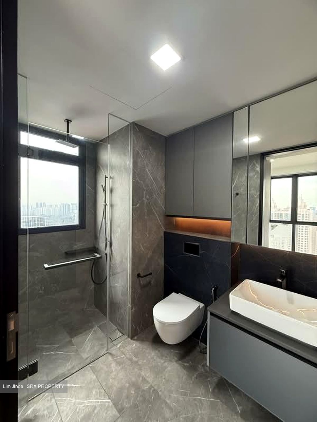 Irwell Hill Residences (D9), Apartment #554743441